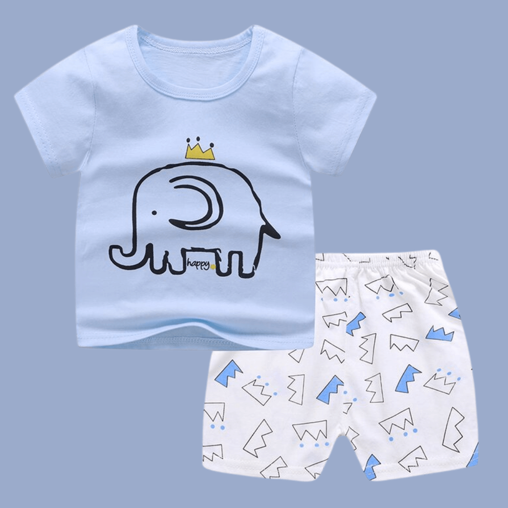 Conjunto Shorcito+Reme - Importado - Elefante