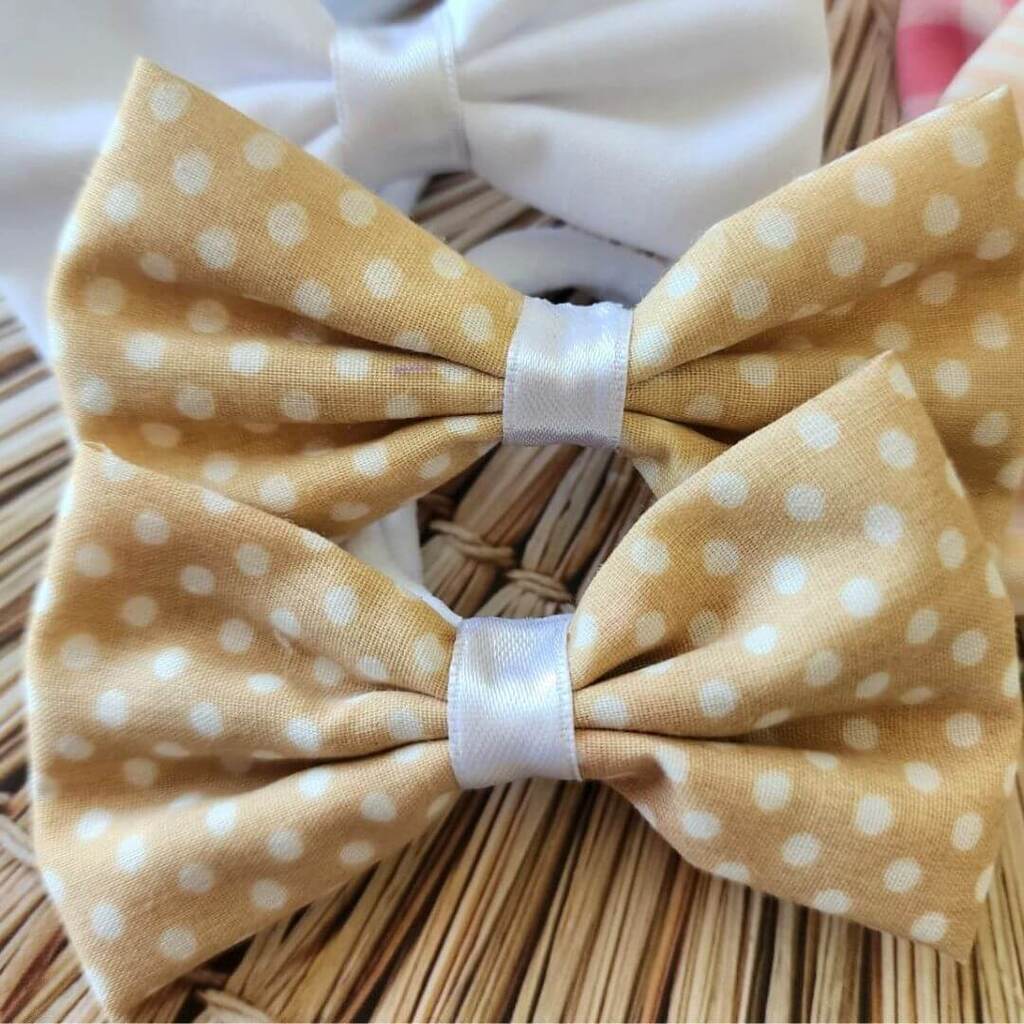 Colitas Toddler - Pack x 6